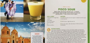 pisco sour – World’s Best Drinks