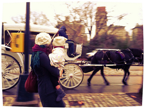 horsedrawn carriage