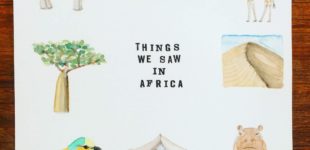 Things We Saw in Africa