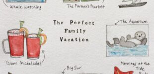 The Perfect Family Vacation (1)