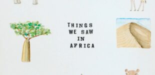 Things We Saw in Africa (1)
