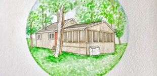 the cabin